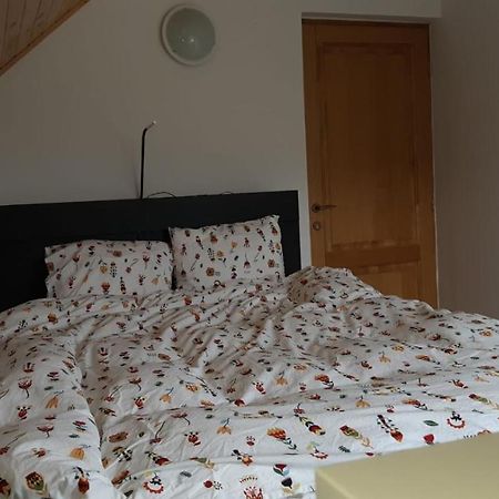 Strada Tiszás Ferienwohnung BaileTusnad Exterior foto